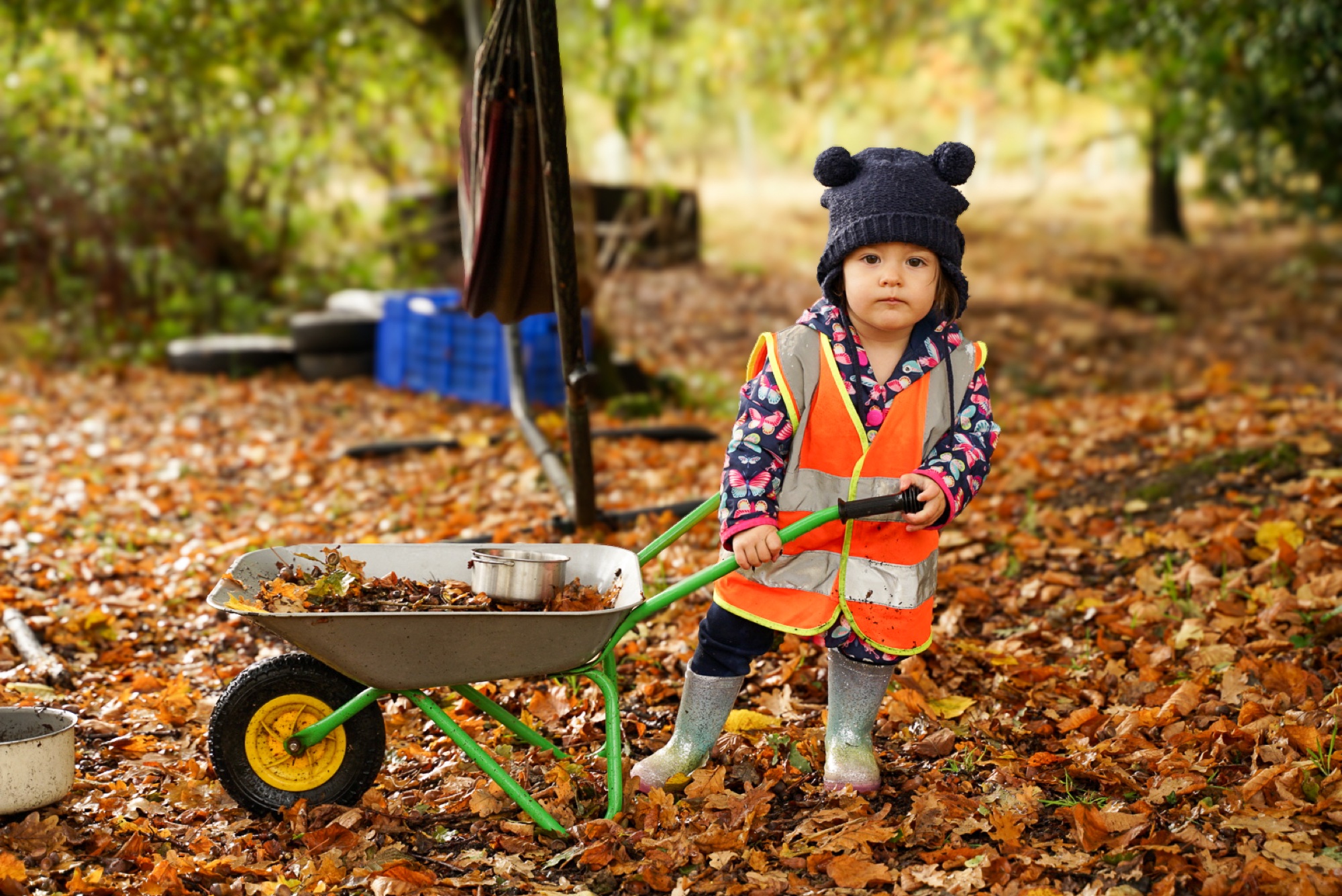 Young child pushing a wheelbarrow through autumn leaves on a crisp day in Buckinghamshire