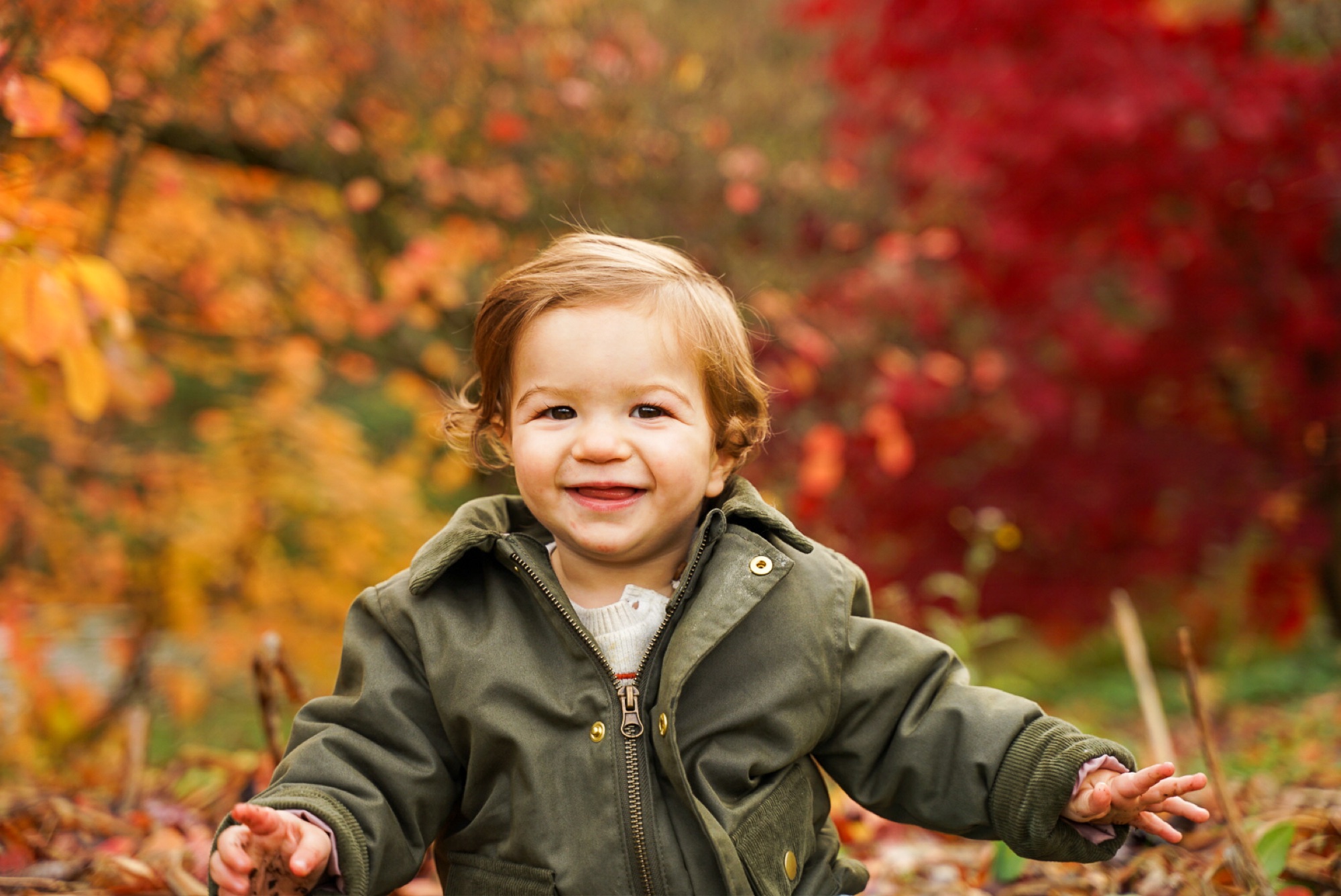 Smiling toddler among vivid red and gold autumn foliage in Buckinghamshire