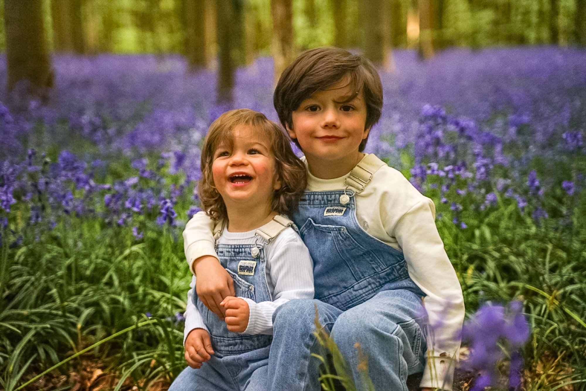 Family walking together through bluebell woods in Buckinghamshire countryside