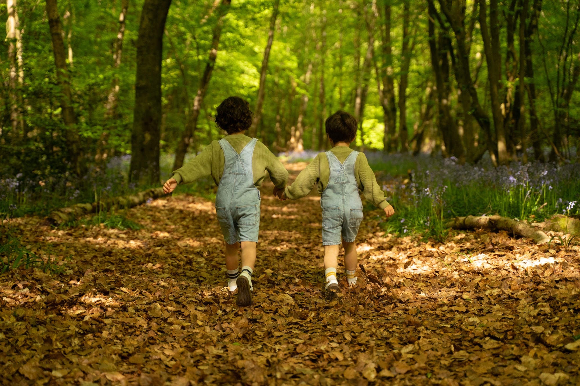 Two brothers walking hand in hand down a woodland path in the bluebell woods