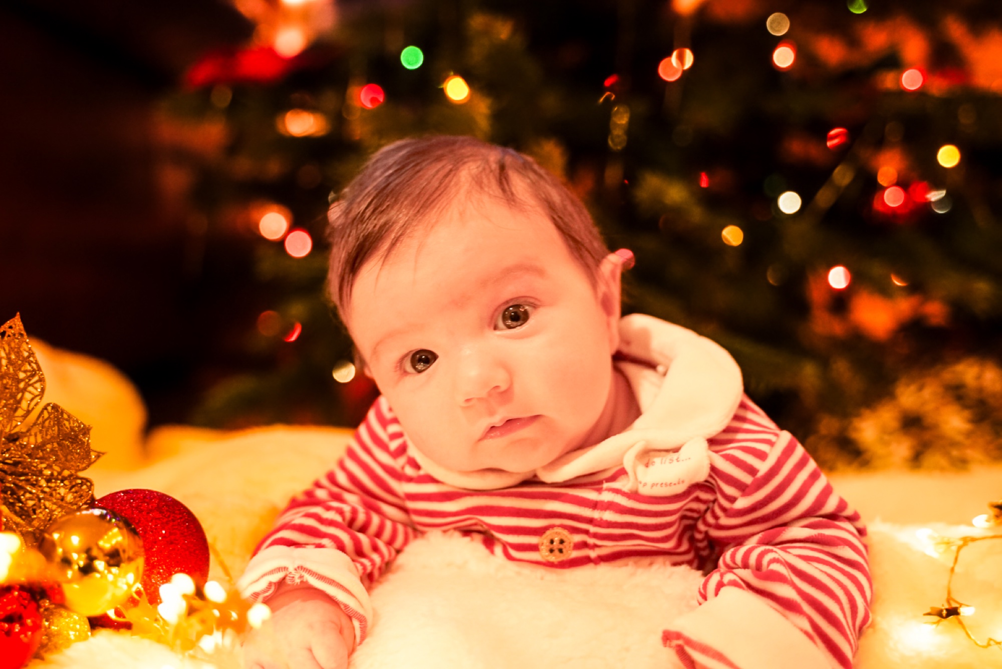 Festive newborn portrait with warm Christmas lights